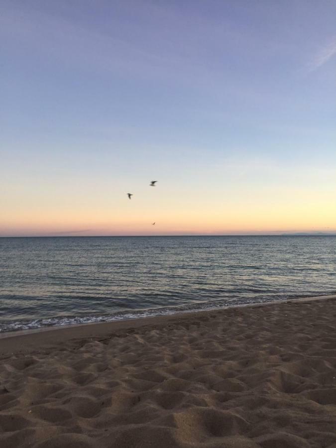 Jm Vacances Sérignan Dış mekan fotoğraf